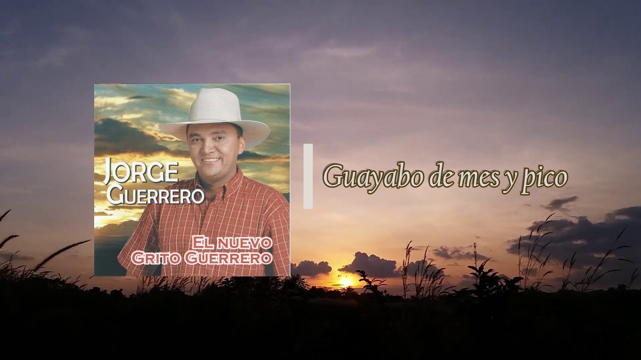 Guayabo de mes y pico
