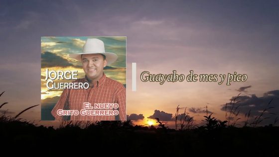 Guayabo de mes y pico