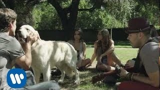 Con quien se queda el Perro