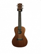 ukulele-1.png