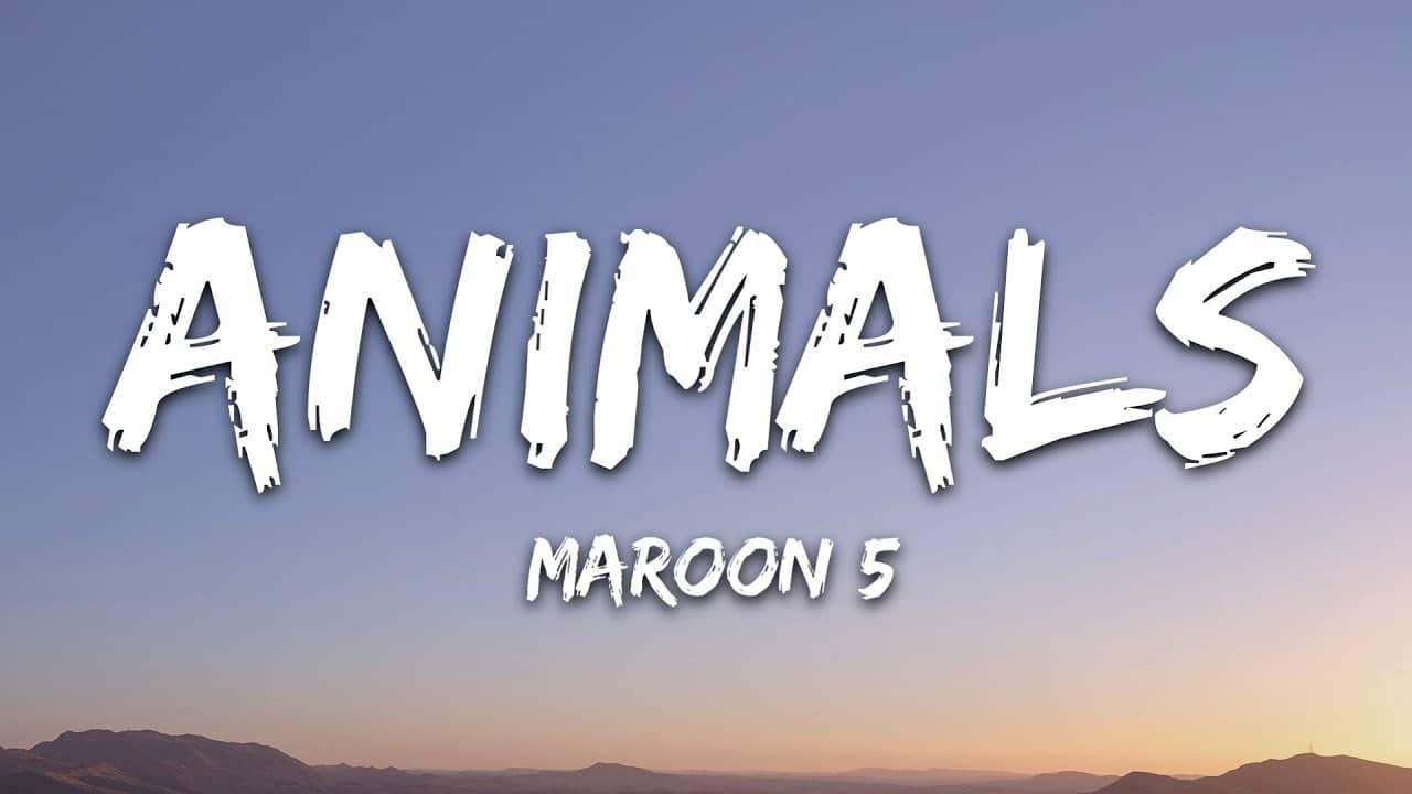 Animals