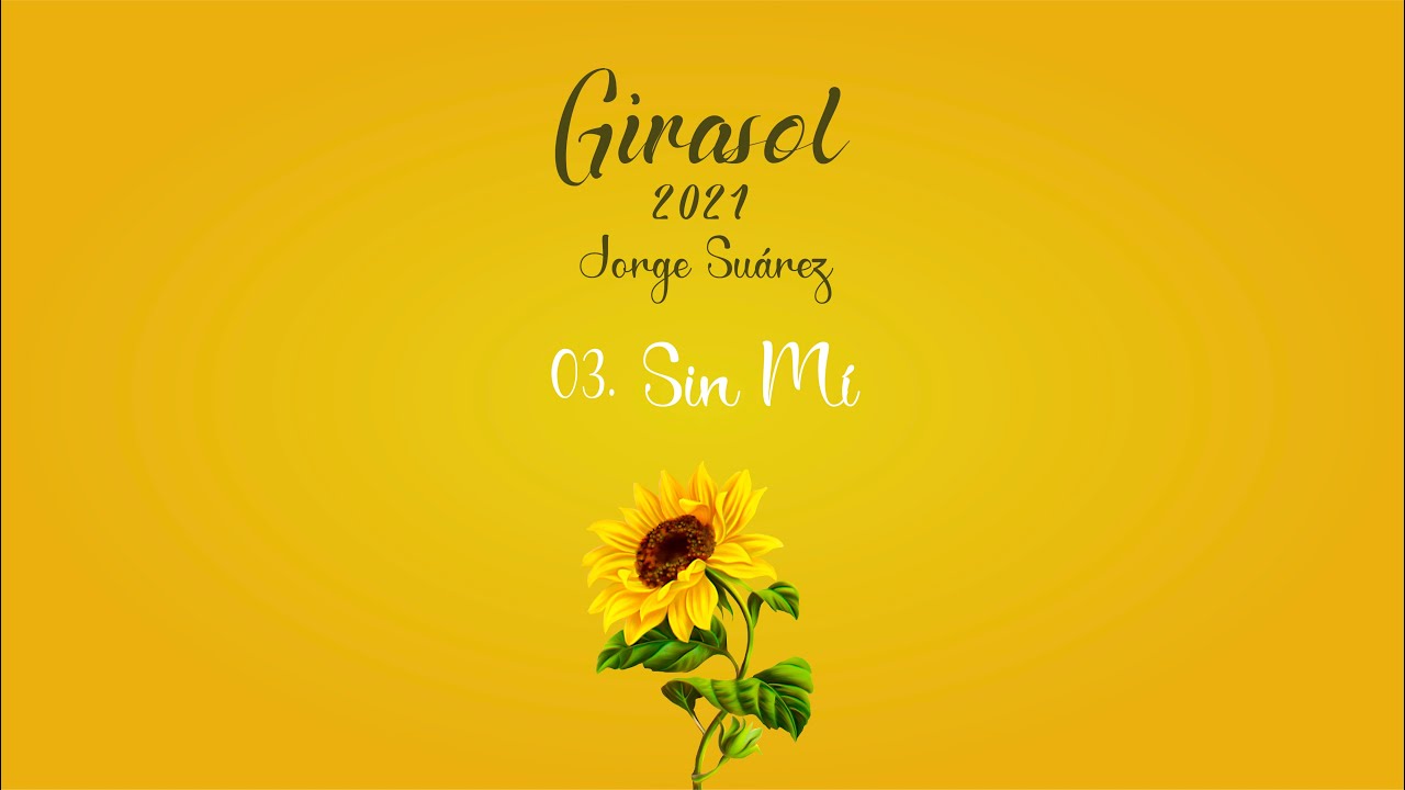 Sin Mi